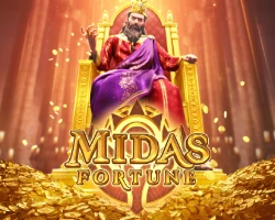 MIDAS